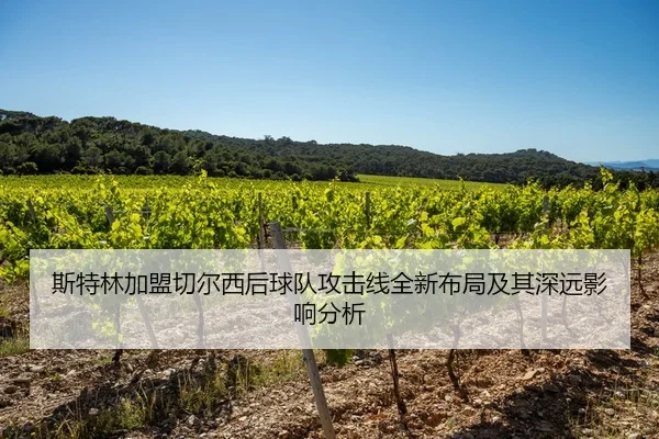 斯特林加盟切尔西后球队攻击线全新布局及其深远影响分析